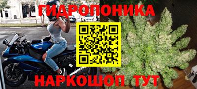 винт Кандалакша