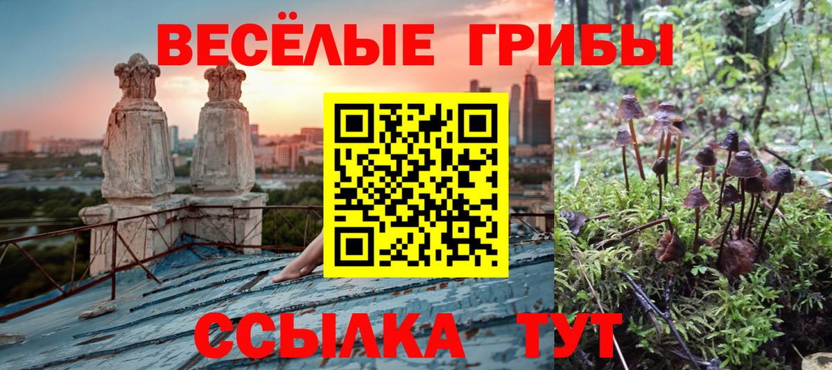 Каменск-Шахтинский  Галлюциногенные грибы MAGIC MUSHROOMS  Вход с VPN  Псилоцибиновые грибы мухоморы 