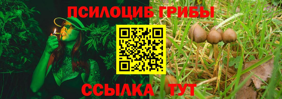 МАРИХУАНА  NBOMe  Гашиш  ЭКСТАЗИ  Кокаин  Меф  МЕФ кристаллы  ГАШ  Каменск-Шахтинский  Вход с VPN  МДМА 