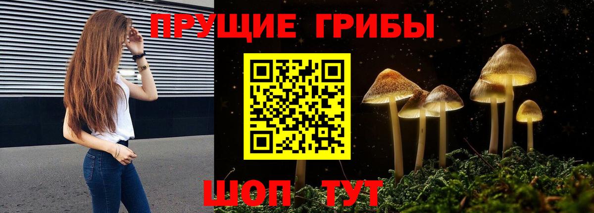 Галлюциногенные грибы GOLDEN TEACHER Каменск-Шахтинский